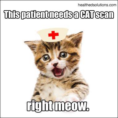 cat dressed as a nurse meme